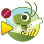 Doodle Cricket Game